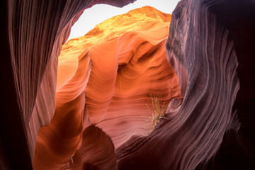 Slot Canyon, Page Arizona USA