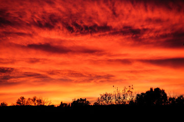 reddish sunset over a field with backlit trees