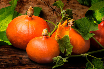 Obraz premium Pumkins hokkaido on the wooden background close up