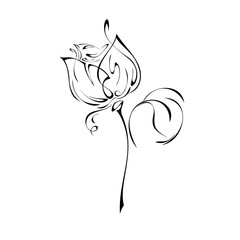 one stylized rose Bud on a short stem with a single leaf in black lines on a white background