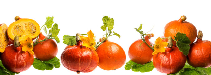 Pumpkins hokaido isolated on the white background