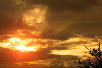 Sunset scenery and golden clouds