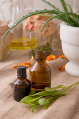 drops of aloe juice on leaves, preparation of natural cosmetics, bottles for oils, green leaves, various herbs ingredients in jars