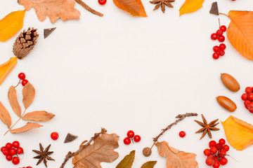 Mockup. Autumn bright colors of autumn-leaves, red mountain ash, cones on a white background. Copy space.