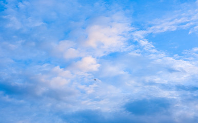 Naklejka na ściany i meble airplane fly on blue sky white fluffy cloud
