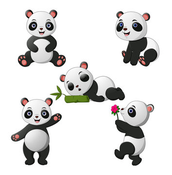 Illustration of Cute baby pandas collection