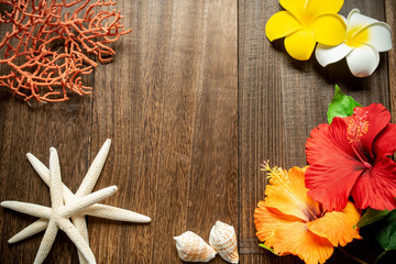 Fototapeta premium ハイビスカスとプルメリア