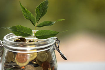 many coins of different countries in a glass jar close-up