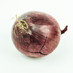 onion