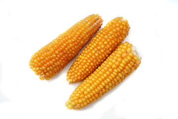 corn isolated on white background