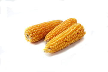 corn isolated on white background