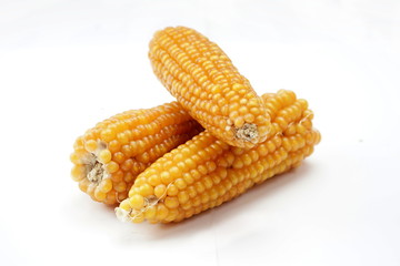 corn isolated on white background