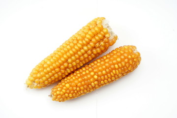 corn isolated on white background