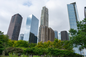 Obraz premium Wieżowce i zielone drzewa w parku w Streeterville Chicago
