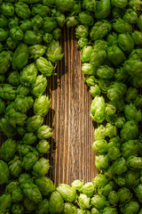 Green cones of hops on a rustic aged wooden table with copy space. Brewery concept background. Hop cones formed as a shape of beer bottle.