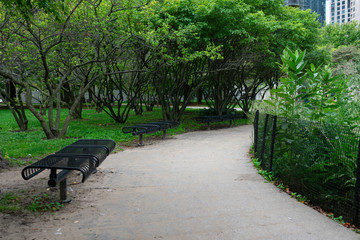 Benches with Green Plants and Trees at a Park in Streeterville Chicago