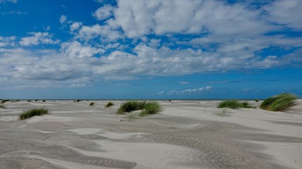 Fototapeta na wymiar Dünen- und Strandlandschaft auf Ameland, Niederlande