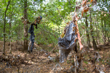 Plastic bags inside a beautiful forest. Environmental pollution.