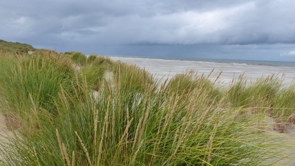 Fototapeta na wymiar Dünen- und Strandlandschaft auf Ameland, Niederlande