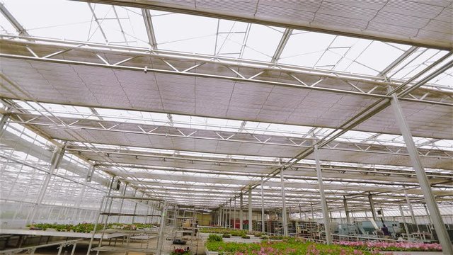 The process of opening the roof in a large modern greenhouse. Opening the roof in a large modern greenhouse,