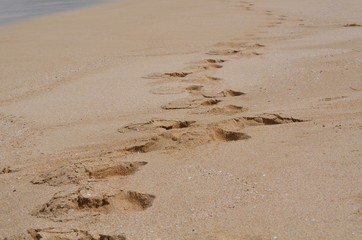 footprints in sand