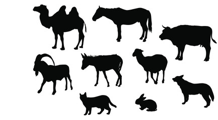 Set of vector silhouettes of Pets, horse, cow, donkey, sheep, dog, cat, rabbit, camel, black color, isolated on white background