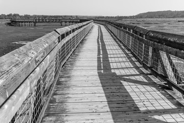 Obraz premium Nisqually Wetlands Boardwalk 14