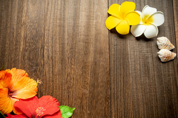 ハイビスカスとプルメリア © 歌うカメラマン