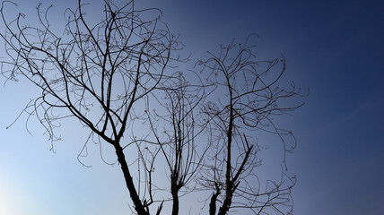 Blue sky that is in the natural state of Indonesia