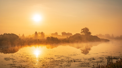 Beautiful panorama of the golden hour with misty river, reflected trees and rising sun. Foggy morning background in golden tones