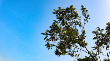 Blue sky that is in the natural state of Indonesia