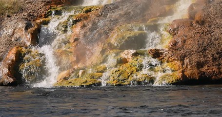 Yellowstone hot geyser waterfall into river. Geyser Yellowstone National Park in Wyoming, United States. Geothermal ecosystem feature. Caldera, super volcano. Biology geography and ecology.