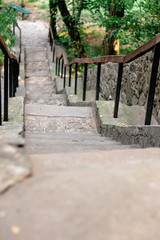 cement staircase goes up the slope in a green forest