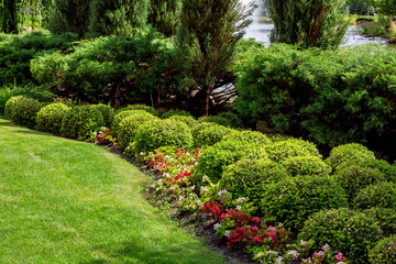 Fototapeta premium well maintained park with flower bed of green spaces, meadow on sunny summer park with plants, nobody.
