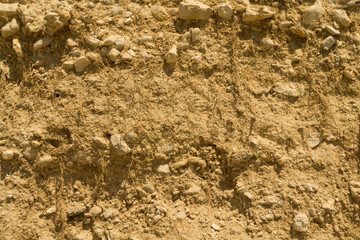 Yellow rock with plant roots