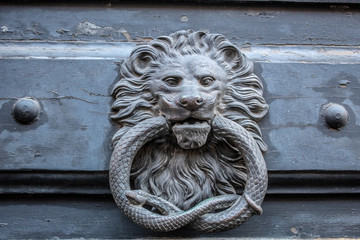 lion head knocker on the door