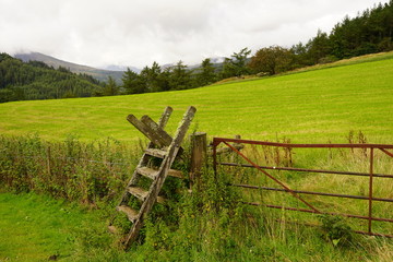Rural Hiking Trail Stile in a Pasture