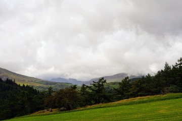 Pastoral Farm Pasture in Wales