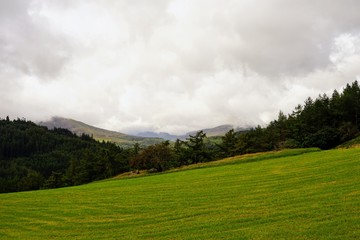 Pastoral Farm Pasture in Wales