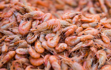 Shrimps. Cooked shrimps. Pile of little shripms.