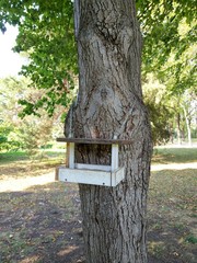 bird feeder and squirrels in a city park