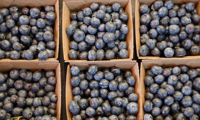 Close-up full frame view of a small cartons of fresh organic blueberries displayed at a farmers market stand