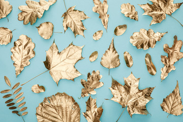 top view of painted autumnal golden foliage on blue background