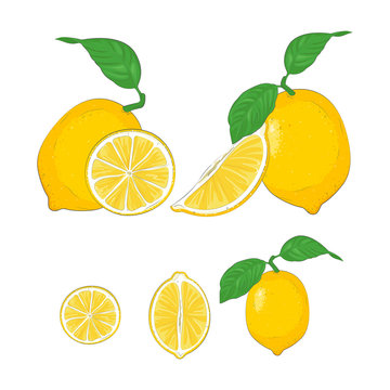 Lemon icon collection, lemon slice. Fresh lemon fruit. Whole lemon, half fresh citrus fruit. Vector illustrations.