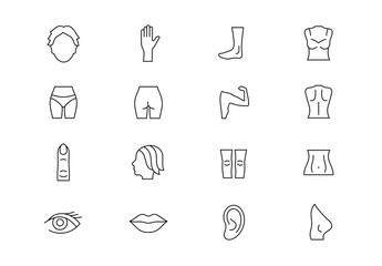 Human body parts thin line vector icons. Editable stroke