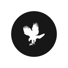 Hawk bird vector icon, simple sign for web site and mobile app.