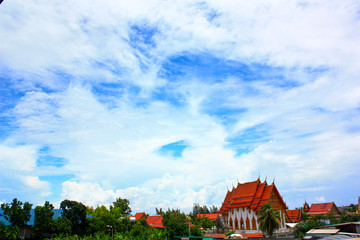 Obraz premium Nature view 