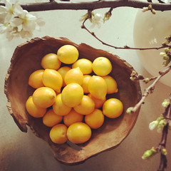 Lemons & Branches