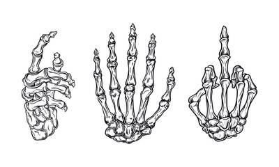 hand bones set vector illustration with vintage style outline