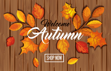 pattern welcome autumn with leafs in wooden